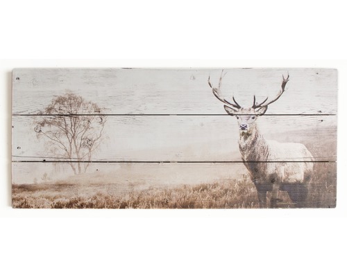 Wonderbaar ART FOR THE HOME Schilderij hout Stag 70x30 cm kopen bij HORNBACH PJ-15